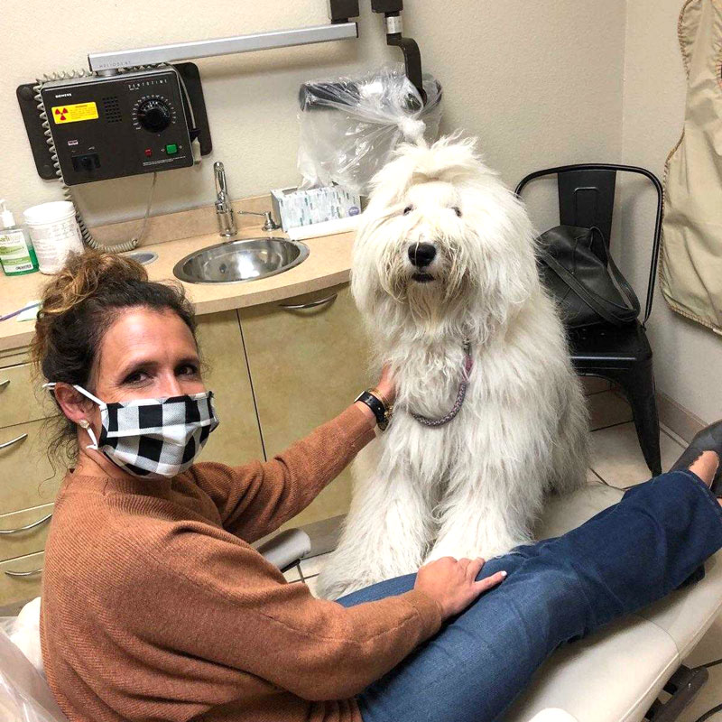 chloe-the-therapy-dog